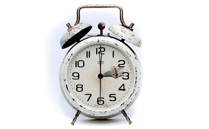 Time Paradox Safaris
